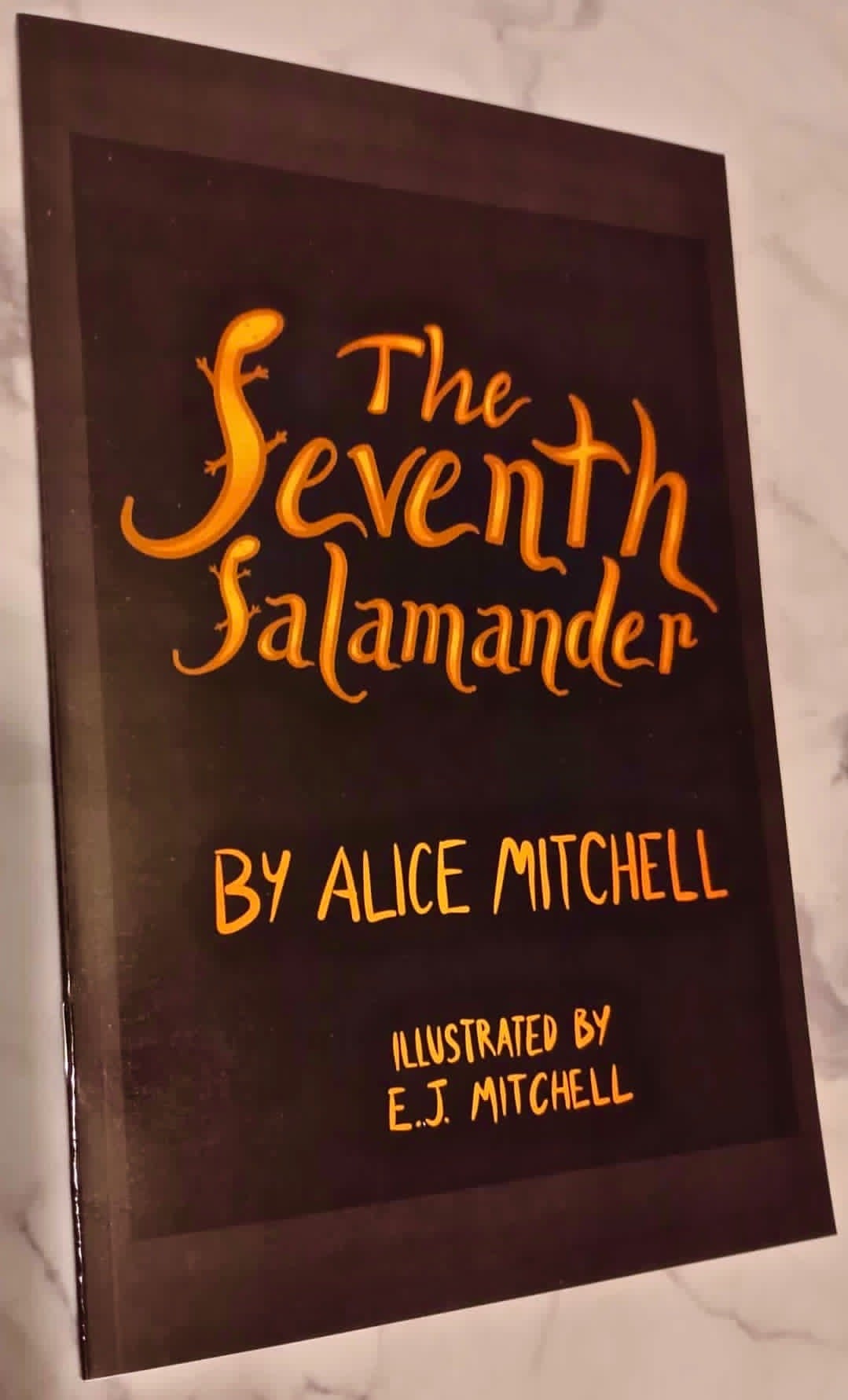 Photo of The Seventh Salamander (Children's Book, Paperback)