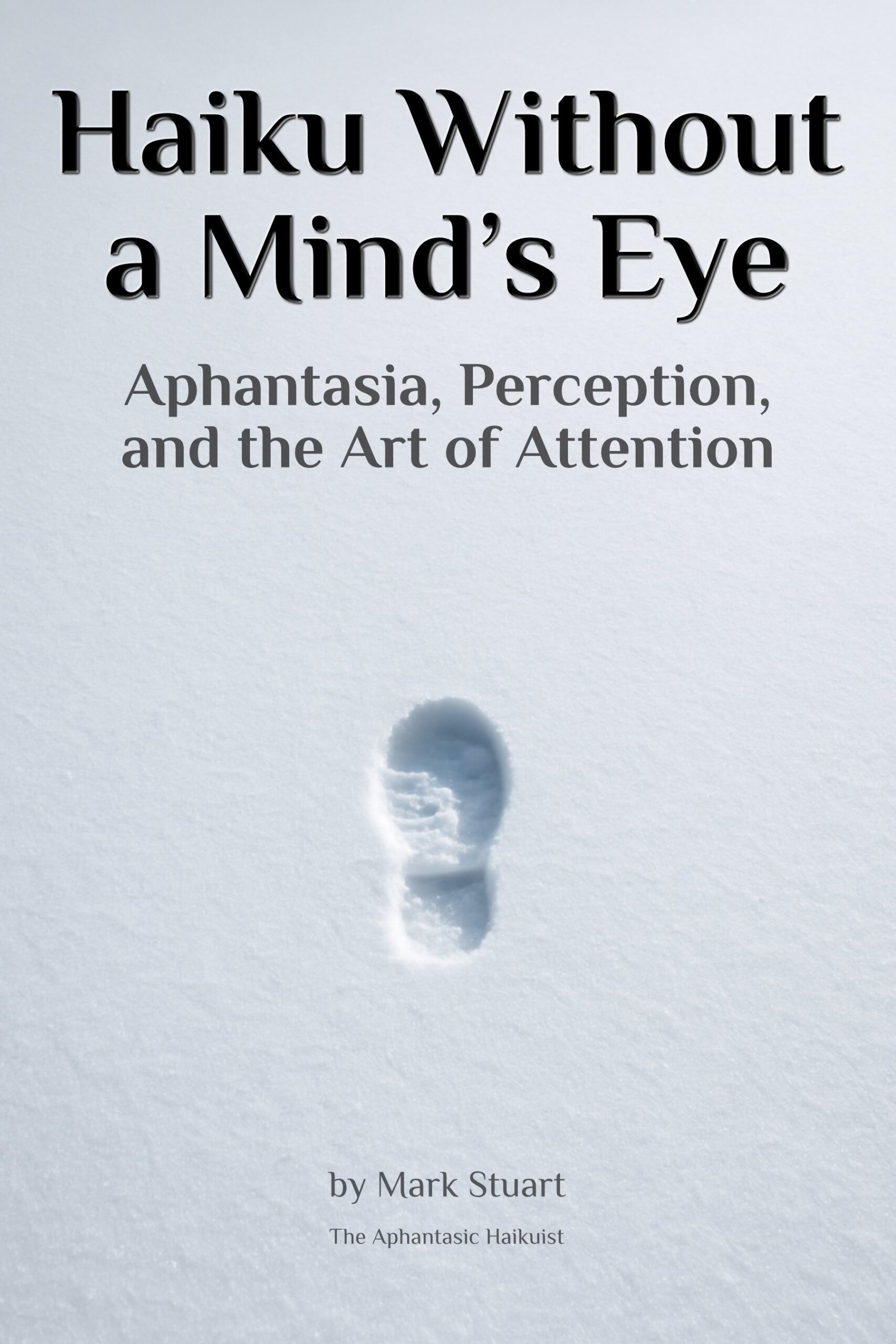 Cover image of Haiku Without a Mind's Eye