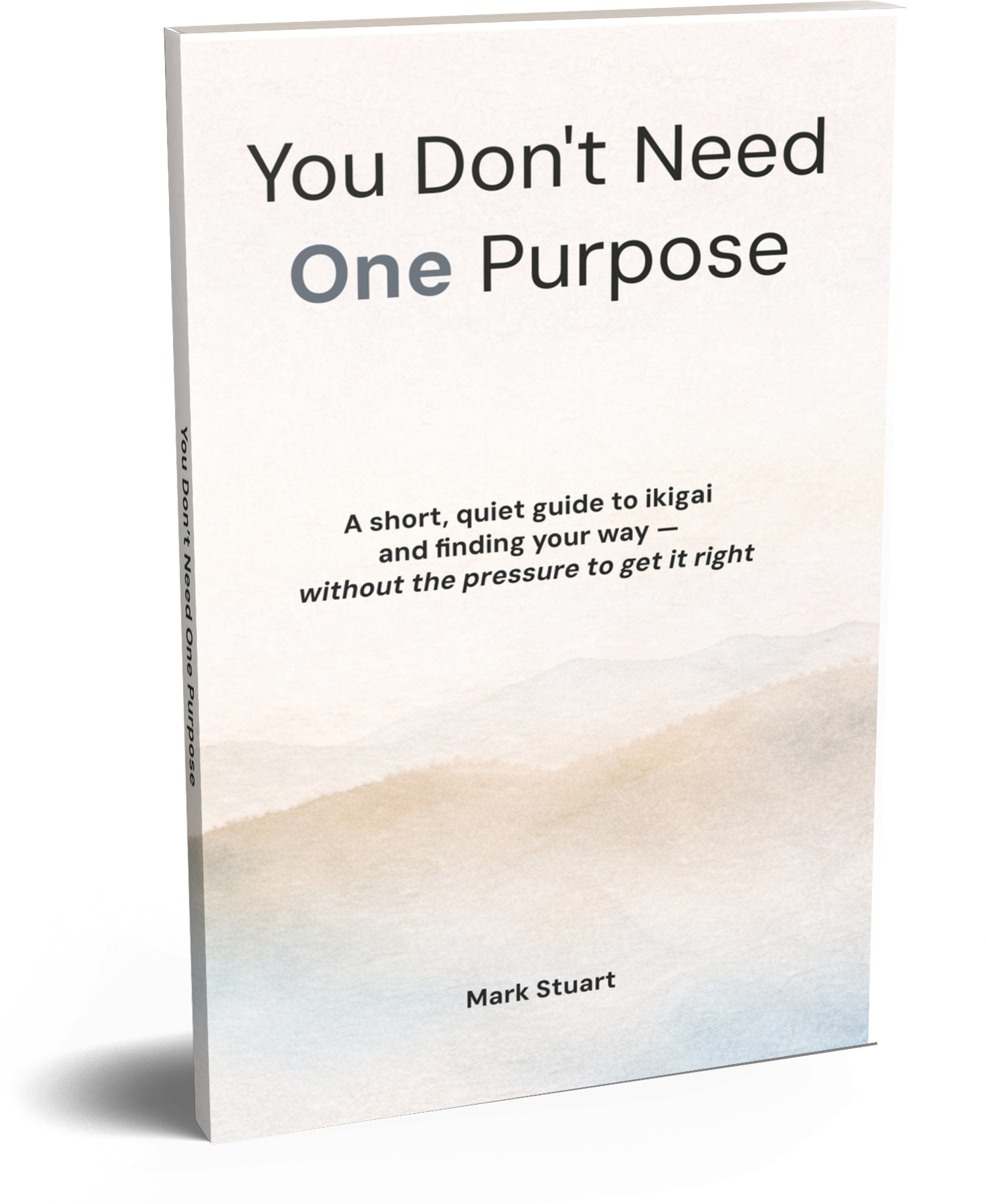 Cover image of You Don't Need One Purpose