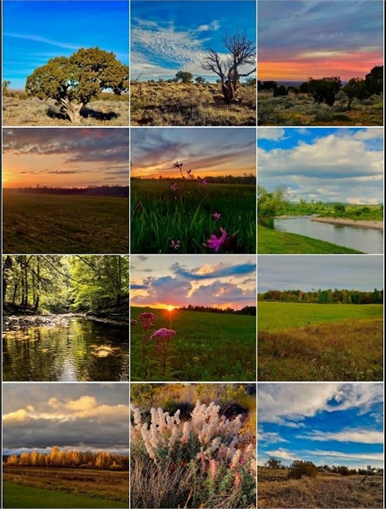 Photo of the Natural Beauty Calendar